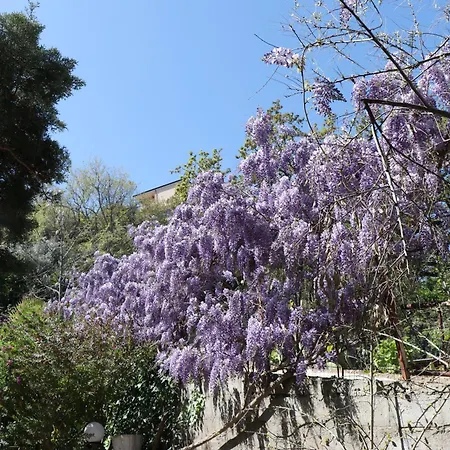 Aparthotel Tropeano 3*