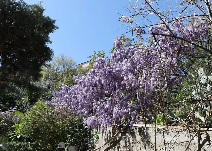 מלון דירות Tropeano 3*